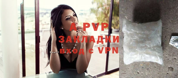 хмурый Новозыбков
