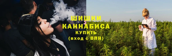 хмурый Новозыбков