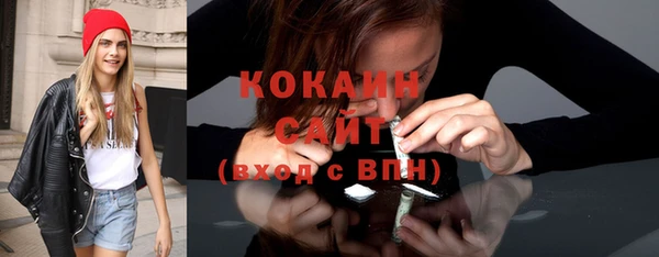 первитин Новодвинск
