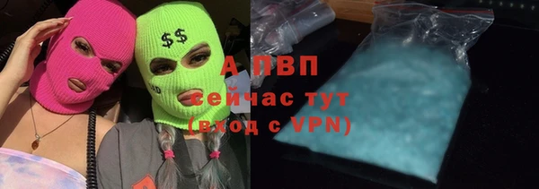 первитин Новодвинск