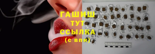 хмурый Новозыбков