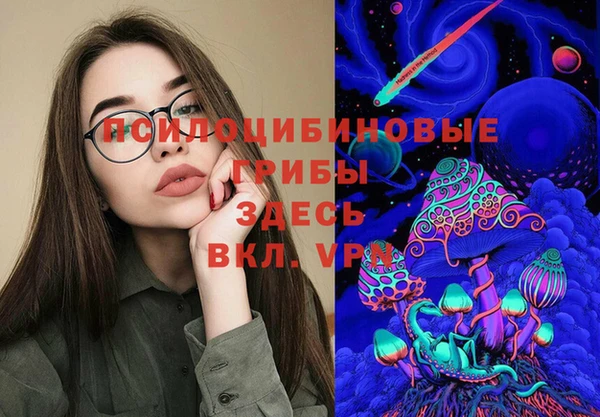 первитин Новодвинск