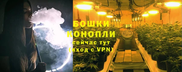 хмурый Новозыбков