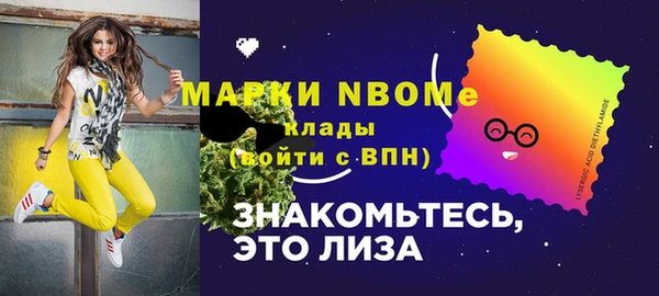 первитин Новодвинск