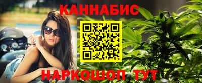 бошки Будённовск
