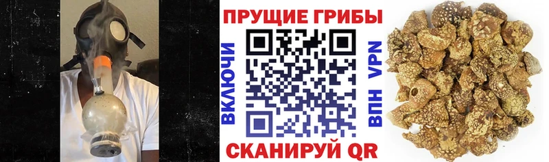 Псилоцибиновые грибы Magic Shrooms  Тюмень 