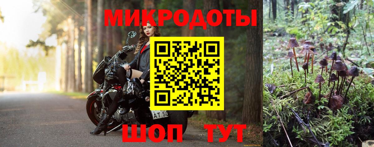 Галлюциногенные грибы прущие грибы Тюмень