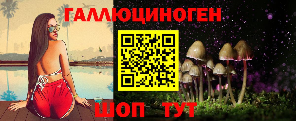 Галлюциногенные грибы Psilocybine cubensis Тюмень