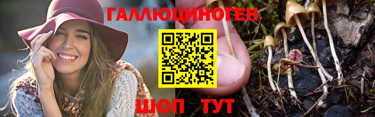 Псилоцибиновые грибы Magic Shrooms  где продают наркотики  Псилоцибиновые грибы Cubensis  Тюмень  Вход с VPN 
